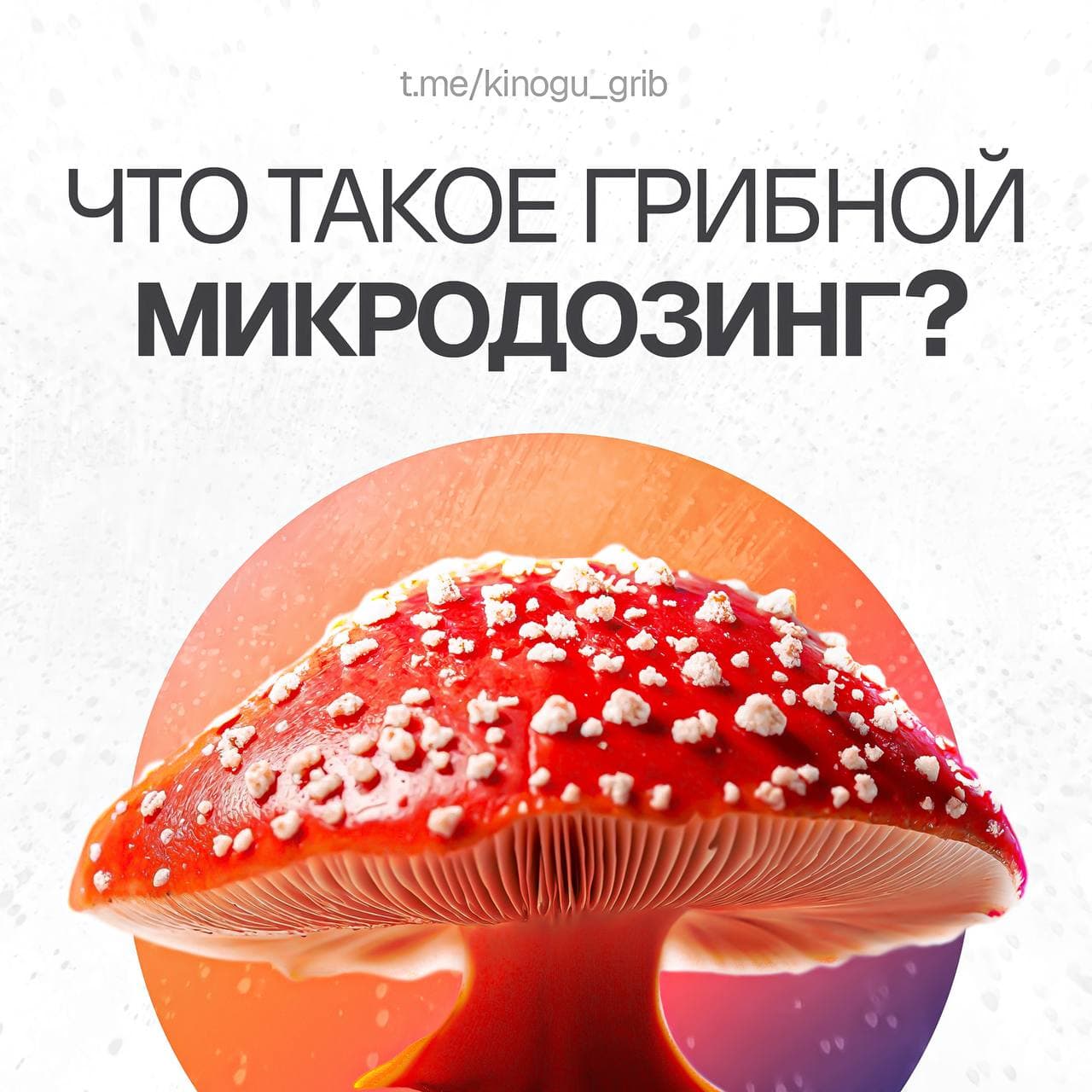 ЧТО ТАКОЕ ГРИБНОЙ МИКРОДОЗИНГ?